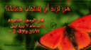 Islamyat (100).jpg